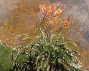 克劳德 莫奈 : Hamerocallis